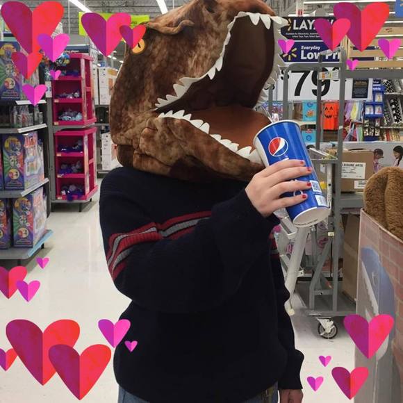 Meet your Posher, Sage - Picture 1 of 1